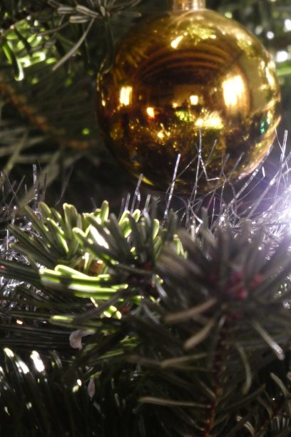 黄色的圣诞球在冷杉与阳光图片下载
