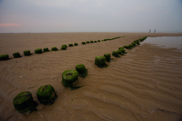 荷兰卡德赞海滩图片下载