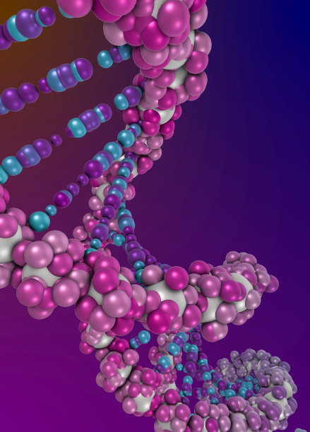 DNA分子图片下载