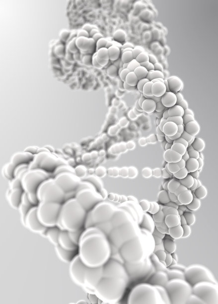 DNA分子图片下载
