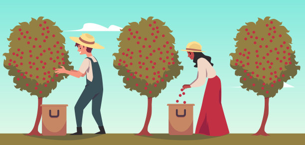 咖啡农民采摘收获的扁豆矢量插图。图片下载