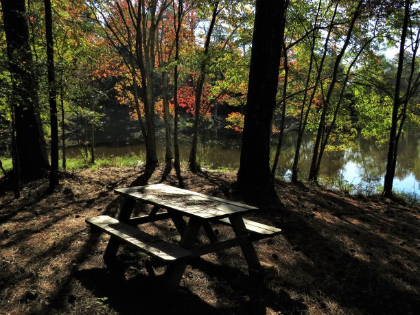 如意野餐(池塘)景点图片下载