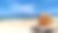 自然海滩贝壳图片下载