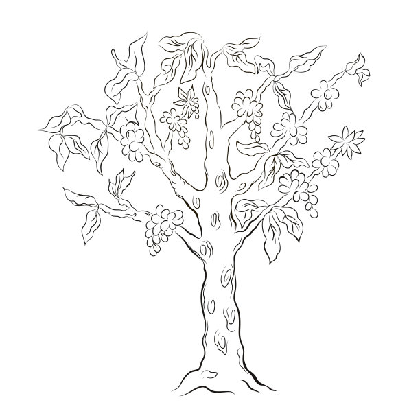 咖啡树用树叶和咖啡豆线条艺术图片下载