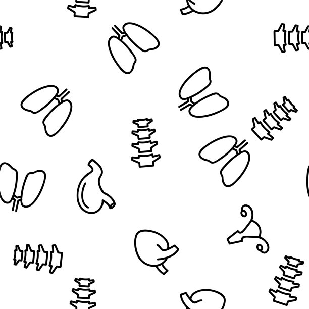 器官解剖无缝模式图片下载