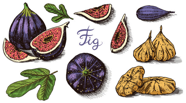 新鲜无花果排毒香料干果切图片下载