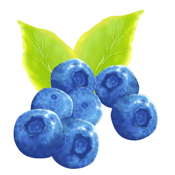 蓝莓图片下载