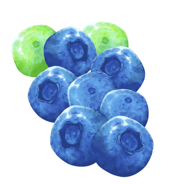 蓝莓图片下载