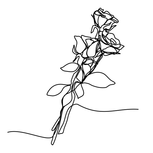 一束鲜花的连续线画。几款玫瑰浪漫时尚系列。模板打印，情人节等。花排成一行。矢量插图。图片下载