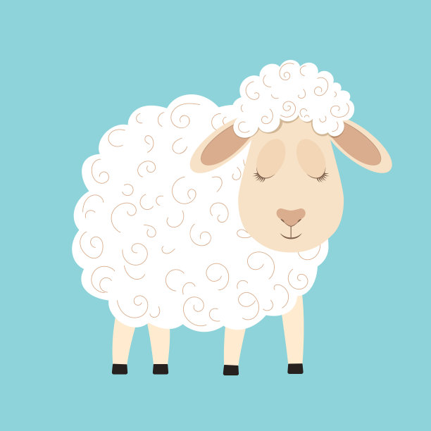 可爱的毛茸茸的绵羊图片下载