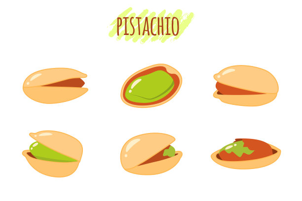 一套开心果在卡通风格孤立在白色背景。富含蛋白质的纯素有机食物。矢量图图片下载