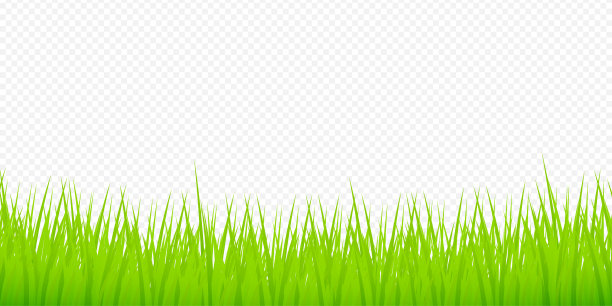 水彩绿插图。三维向量的背景。孤立的矢量图标。3d草横幅设计。图片下载