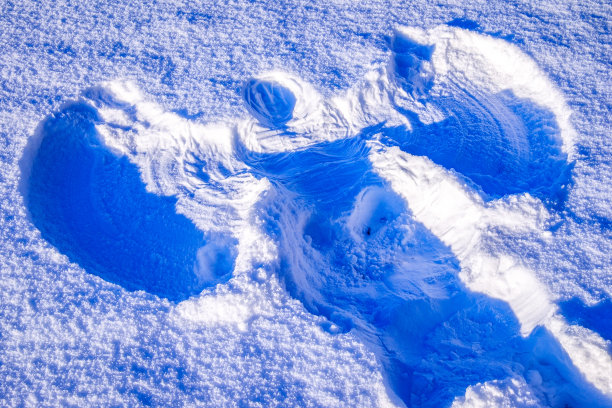 雪天使在草地上图片下载