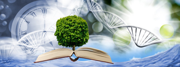 树冠呈人脸形状的树图片下载