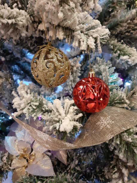 有各种装饰的圣诞树图片下载