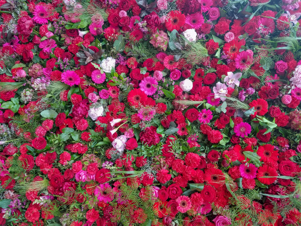 垂直花园花卉背景图片下载