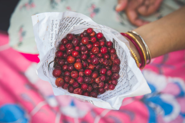 印度ber或红枣水果库存照片。图片下载