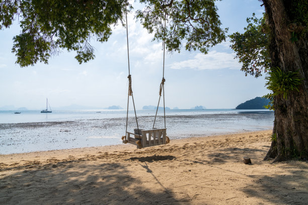 在热带岛屿的海滩上荡秋千图片下载