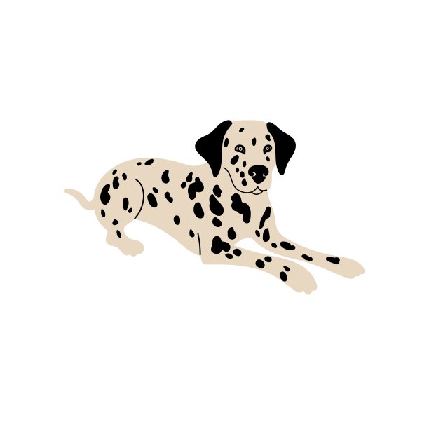 向量可爱的达尔马提亚。狗的品种。涂鸦插图孤立的白色背景图片下载