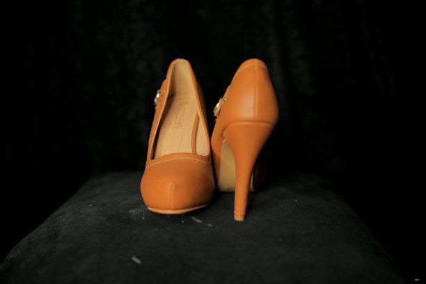 精美的棕色女士鞋图片下载