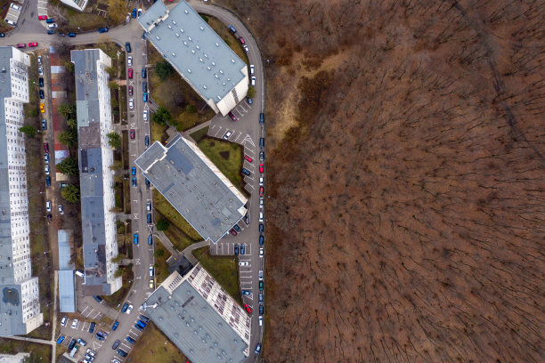 鸟瞰图falt的街区和森林图片下载