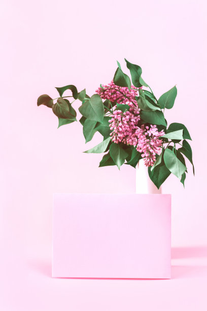 淡紫色的花束，粉红色的信封，粉红色的背景图片下载
