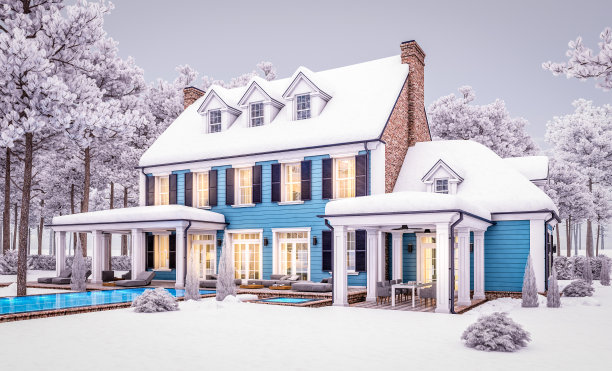 3d渲染的现代古典住宅在冬天的晚上殖民风格图片下载