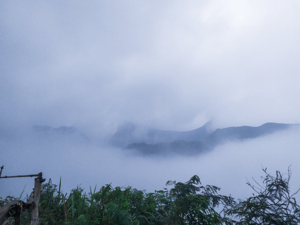 山上的雾图片下载