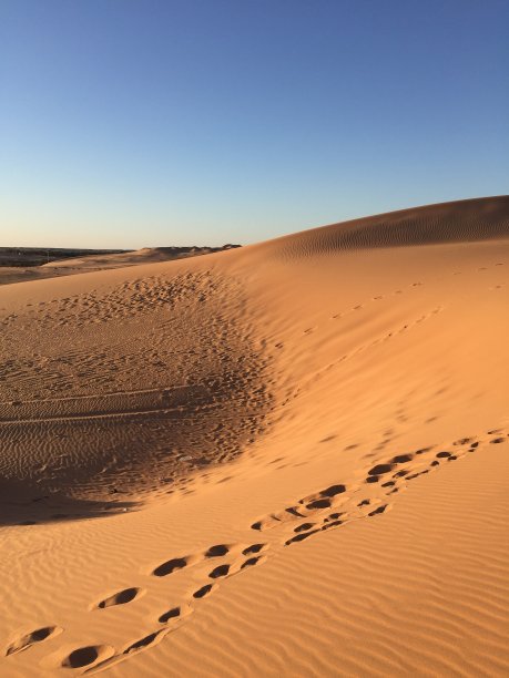 晴空下的沙漠风景图片下载