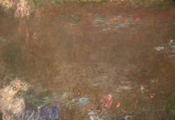 睡莲画图片下载