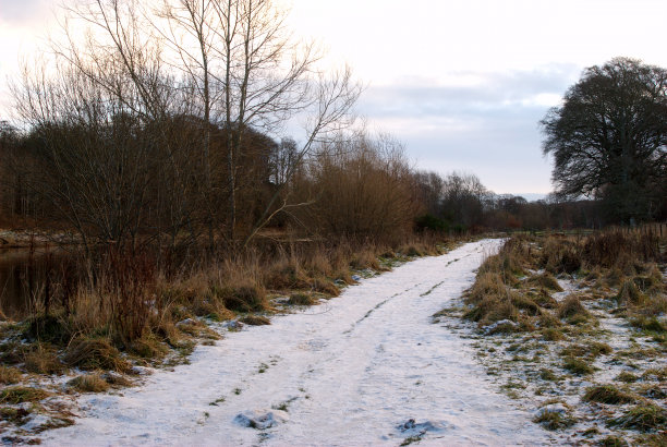 梅尔罗斯附近的特威德河上的小路图片下载