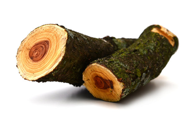 两根正在砍伐的原木树枝堆叠在一起图片下载