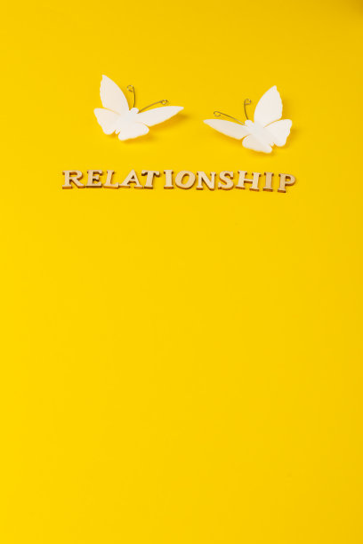关系文本和一对蝴蝶在黄色的背景图片下载