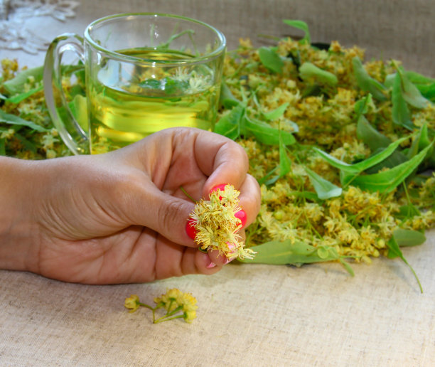 亚麻背景上一个女人手里拿着椴树花。图片下载