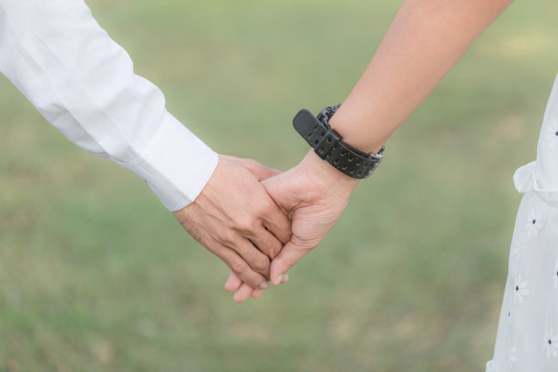 一对牵手在绿色的田野在日落图片下载