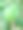 绿色植物叶图片下载