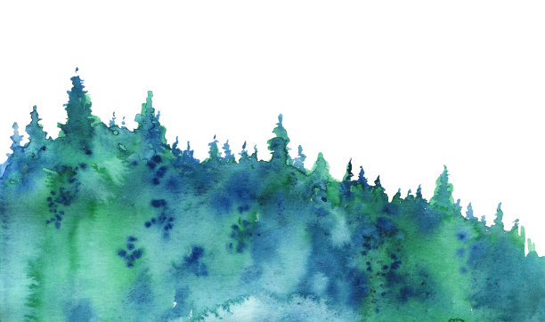云杉森林。手绘水彩素描插图。在白色背景上隔离图片下载