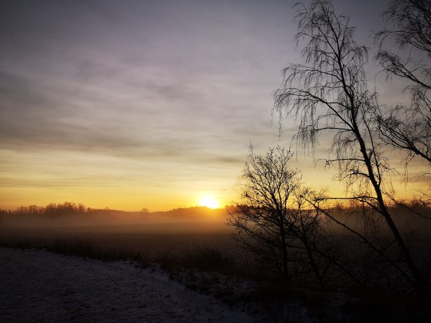 平静的早晨图片下载