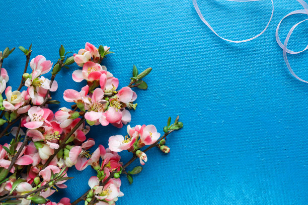 春天的作文。杜鹃花的花枝与空间为文图片下载