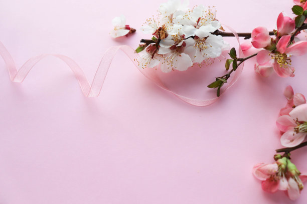 春天的作文。杜鹃花的花枝与空间为文图片下载