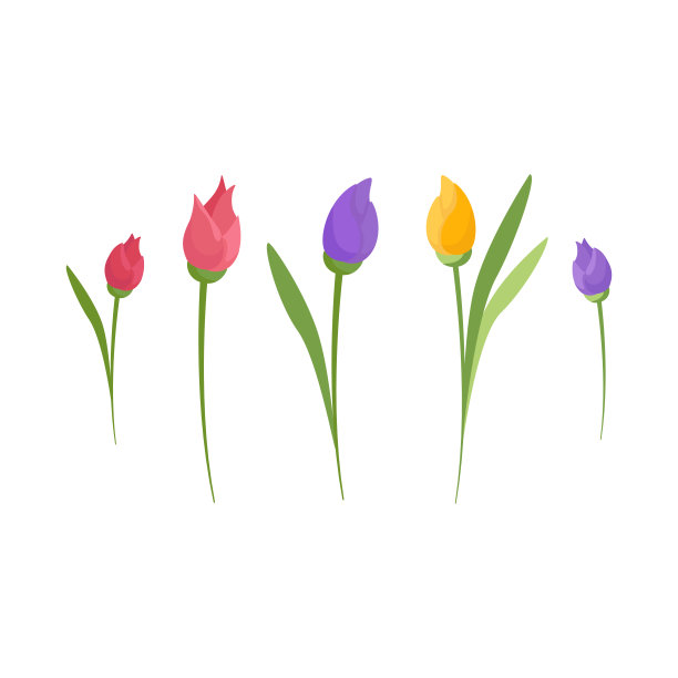 抽象的郁金香。彩色鲜花收集贺卡，邀请，横幅，贴纸，传单。图片下载