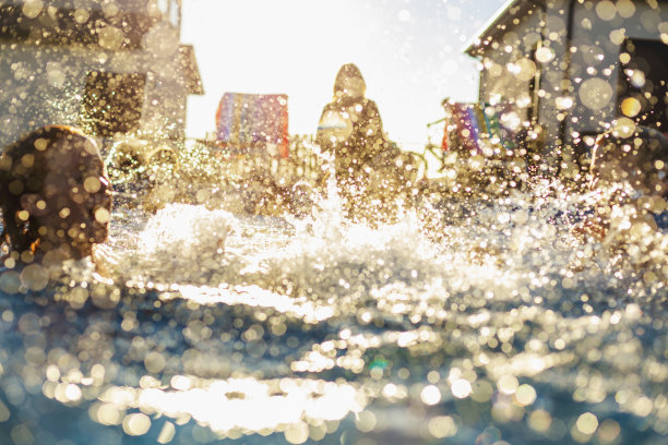 夏末有趣的游泳池，家庭和朋友活动跳跃，跳水，溅水组户外照片系列图片下载