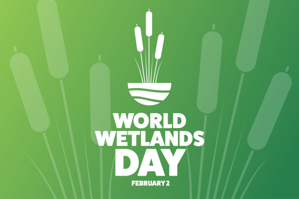 世界湿地日。2月2日。节日的概念。模板的背景，旗帜，卡片，海报与文字题词。向量EPS10插图。图片下载