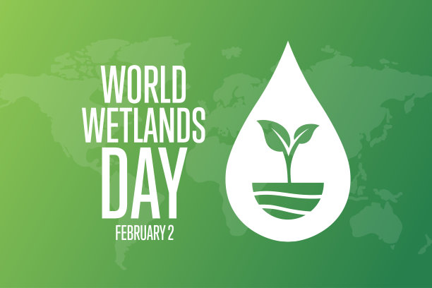 世界湿地日。2月2日。节日的概念。模板的背景，旗帜，卡片，海报与文字题词。向量EPS10插图。图片下载