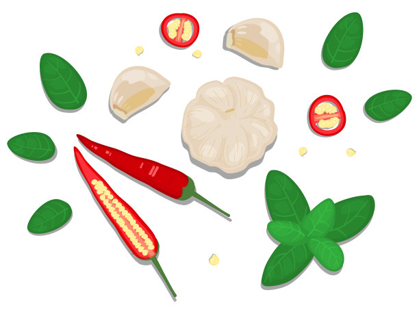 健康饮食和新鲜饮食成分概念插图装饰平铺顶视图孤立在白色背景。红辣椒，大蒜，切，片，罗勒叶图片下载