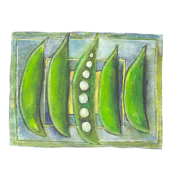 水彩手绘插图与梨子孤立的白色背景设计海报，印刷品，模板，传单，配件，织物，纺织品，厨房装饰。图片下载