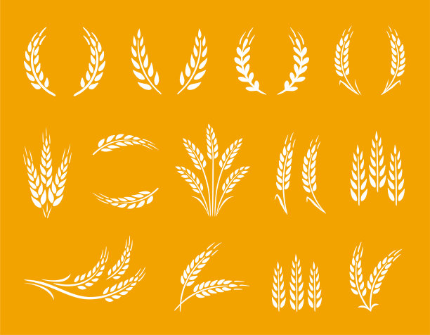 小麦穗和麦圈的食物设置在黄色图片下载