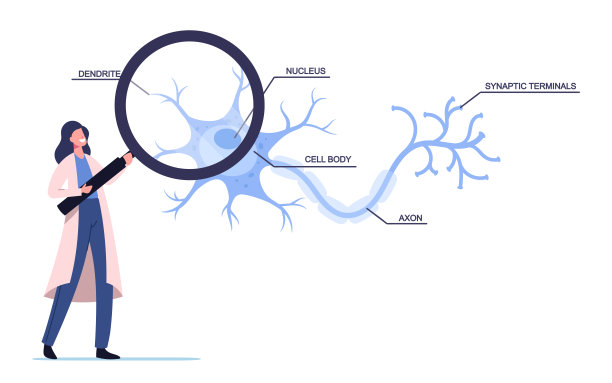 穿着白色医学袍的小科学家女性角色在科学实验室学习人类神经元系统图片下载