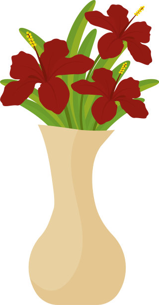 花瓶里孤立的花朵图片下载