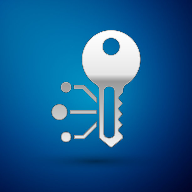 银色加密货币的关键图标孤立在蓝色图片下载